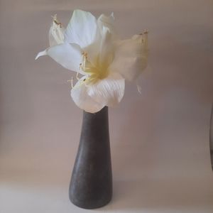 Pier 1 Imports Curved Potted Amaryllis Home Decor